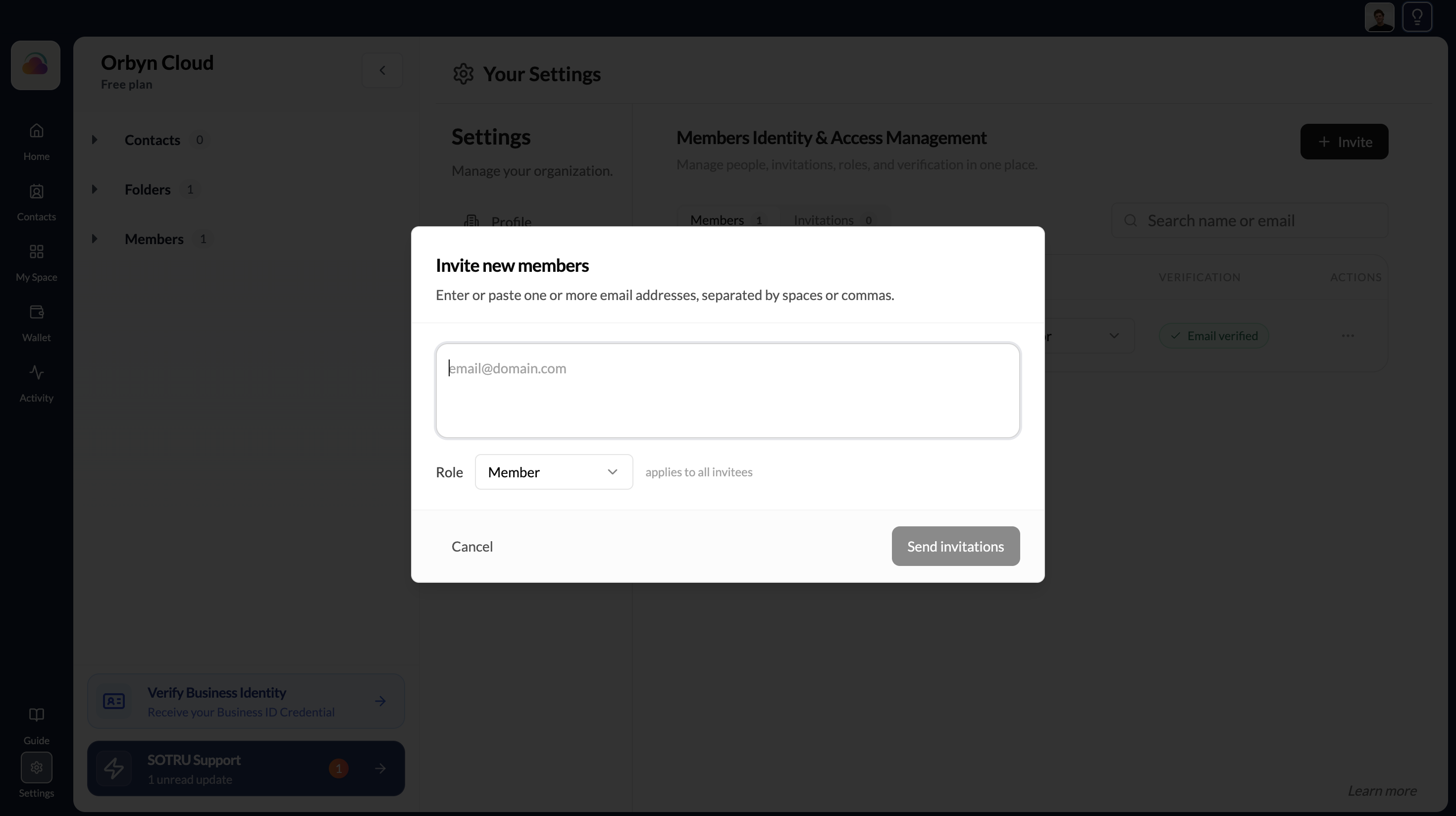 Invite team members form showing email field, role selector, and existing members list
